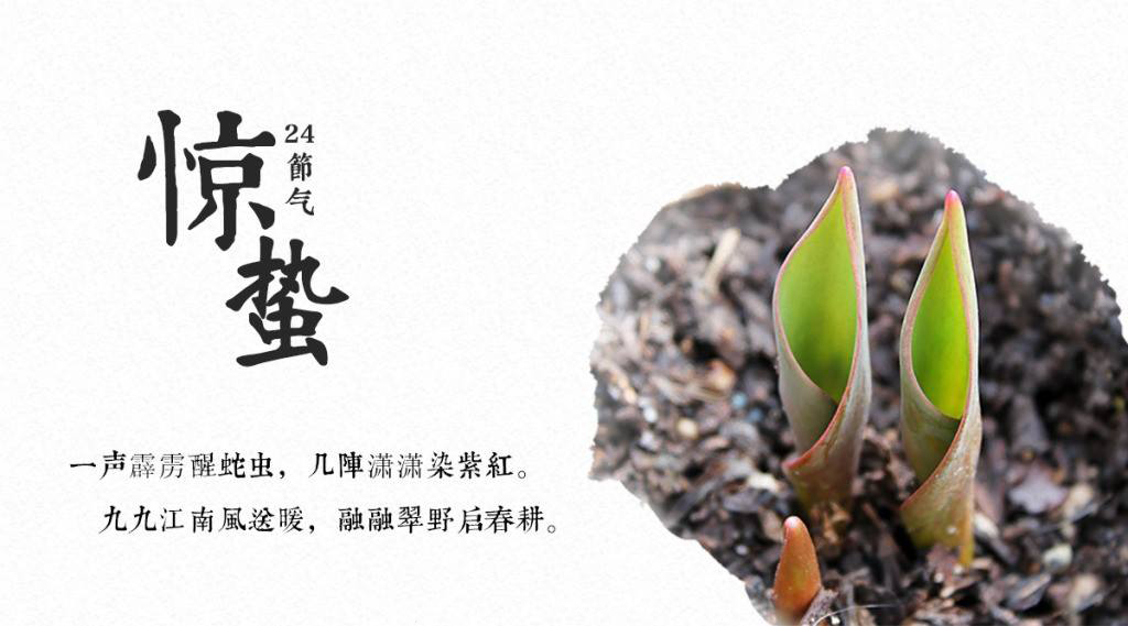 餐飲空間設(shè)計(jì)你現(xiàn)在不搞,那要等什么時(shí)候搞